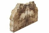 Petrified Wood Bookends - Oregon #195178-1